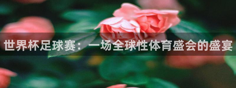 男足世界杯预选赛赛程：世界杯足球赛：一场全球性体育盛会的盛宴