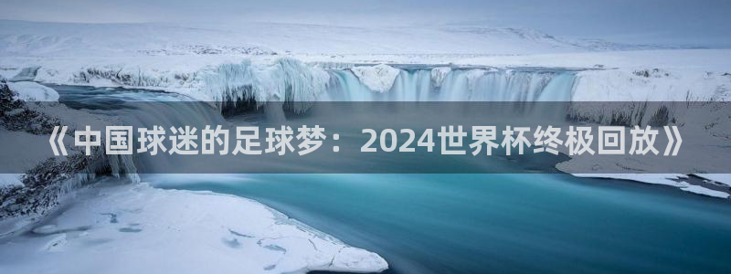 2026年世界杯时间表：《中国球迷的足球梦：2024世界杯终极回放》