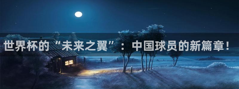 世界杯比赛直播：世界杯的“未来之翼”：中国球员的新篇章！