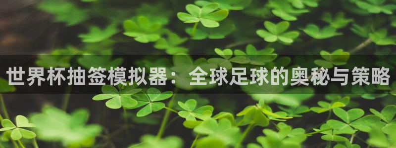 世界杯时间：世界杯抽签模拟器：全球足球的奥秘与策略