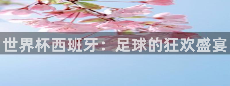 世界杯直播高清：世界杯西班牙：足球的狂欢盛宴