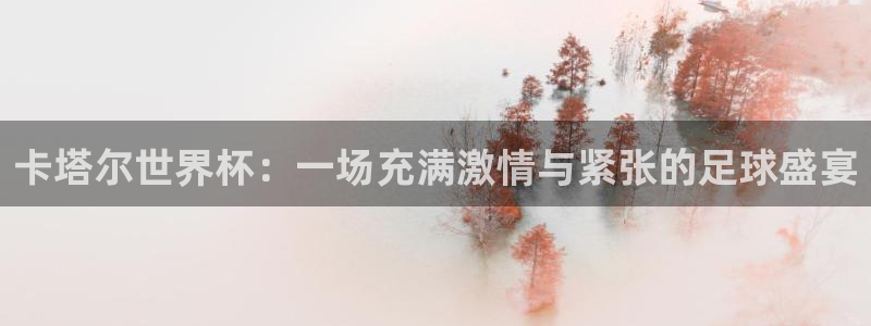 足球世界杯预选赛：卡塔尔世界杯：一场充满激情与紧张的足球盛宴