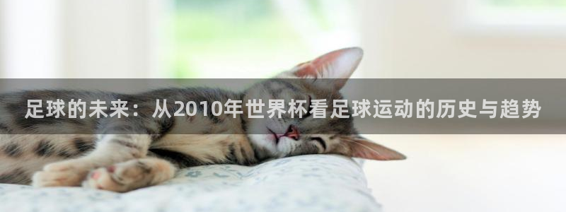 联赛杯直播：足球的未来：从2010年世界杯看足球运动的历史与趋势