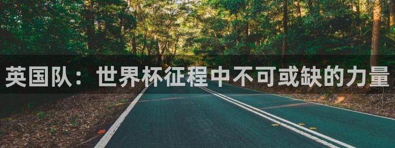 澳门世界杯直播：英国队：世界杯征程中不可或缺的力量