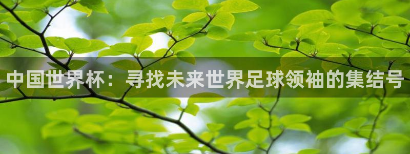 看世界杯：中国世界杯：寻找未来世界足球领袖的集结号