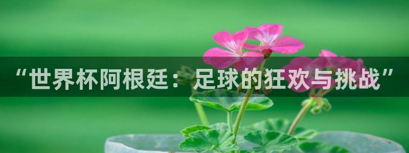 2026年世界杯赛程时间表格：“世界杯阿根廷：足球的狂欢与挑战”