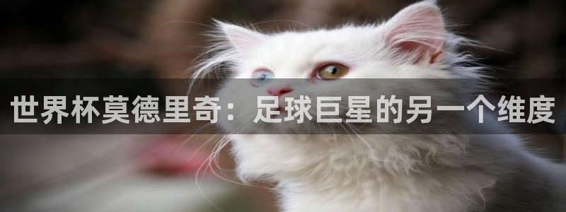 世界杯足球赛2026：世界杯莫德里奇：足球巨星的另一个维度