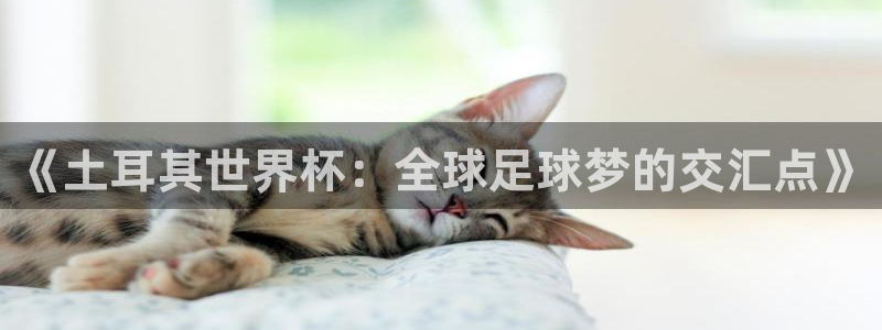 欧洲区世界杯预选赛：《土耳其世界杯：全球足球梦的交汇点》